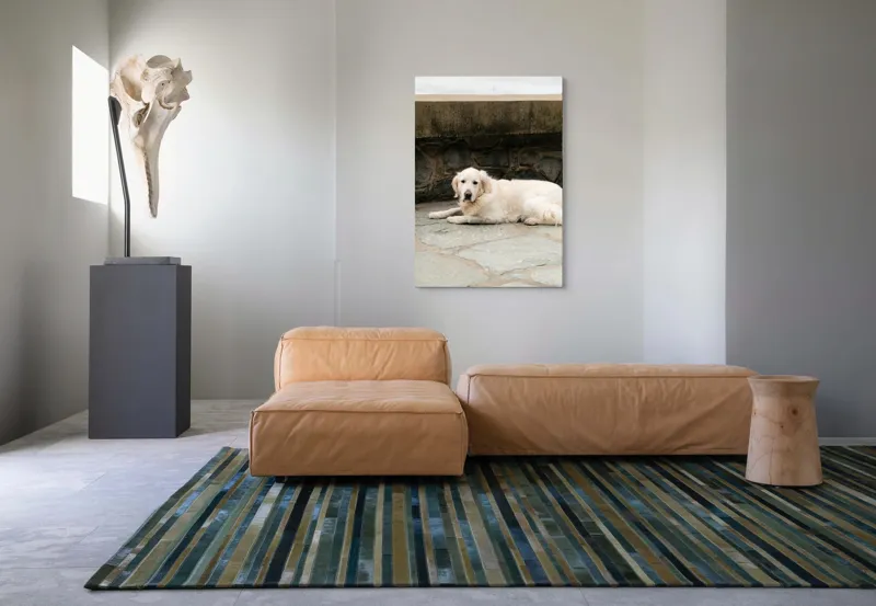 Tablou Canvas, "Câinele odihnindu-se pe terasă de piatră", 70 x 100 cm – poza 7