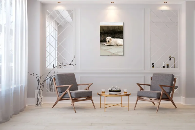 Tablou Canvas, "Câinele odihnindu-se pe terasă de piatră", 70 x 100 cm – poza 8