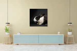 Tablou Canvas, "Iepurele în lumina reflectoarelor dramatice", 100 x 100 cm – poza 5
