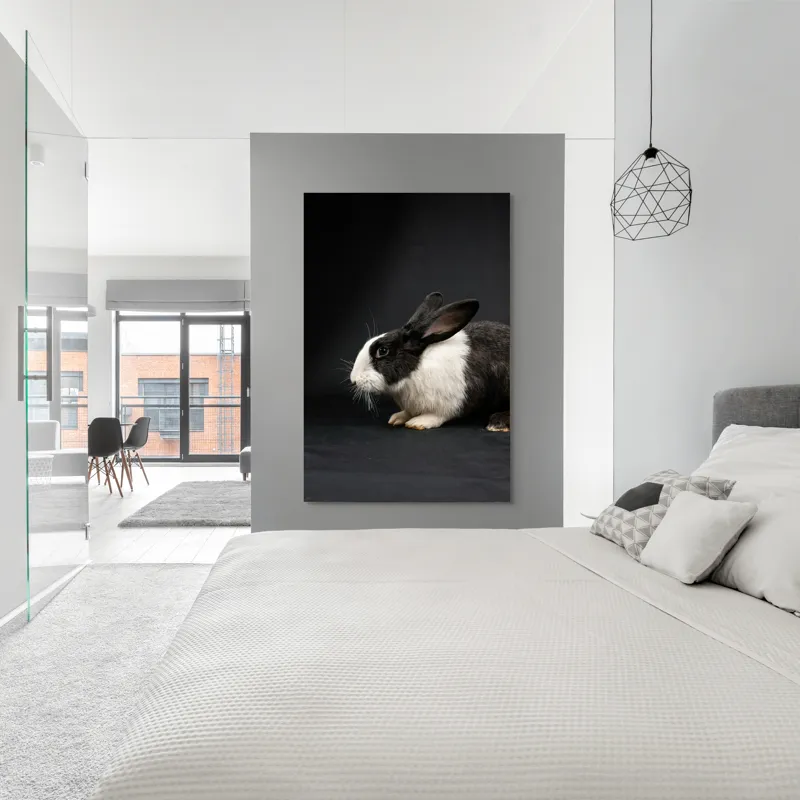 Tablou Canvas, "Iepurele în lumina reflectoarelor dramatice", 100 x 150 cm – poza 5