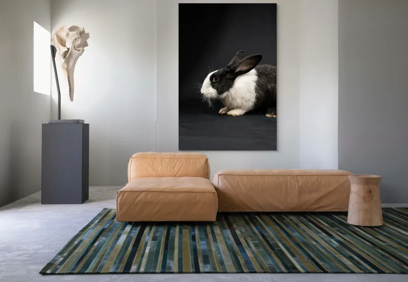 Tablou Canvas, "Iepurele în lumina reflectoarelor dramatice", 100 x 150 cm – poza 7