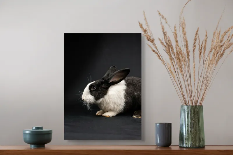 Tablou Canvas, "Iepurele în lumina reflectoarelor dramatice", Nu pot identifica cine este în imagine, dar pot spune că este un iepure., 39 x 54 cm – poza 3