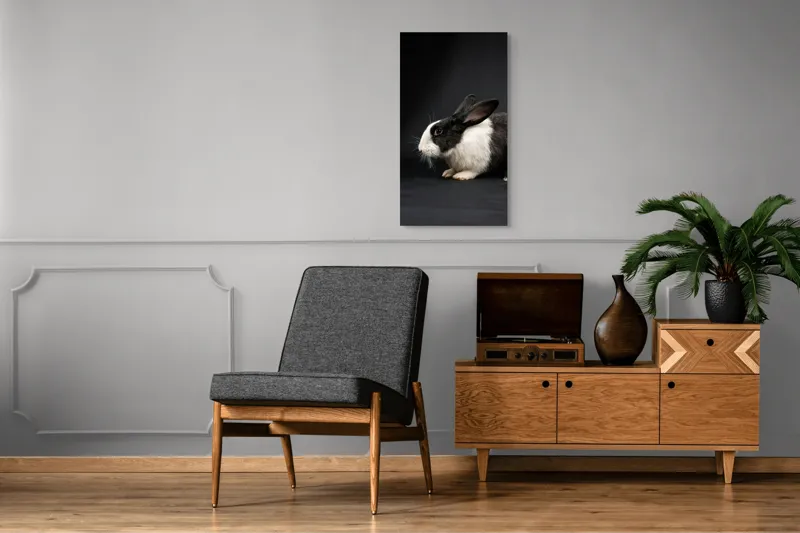 Tablou Canvas, "Iepurele în lumina reflectoarelor dramatice", 50 x 90 cm – poza 8