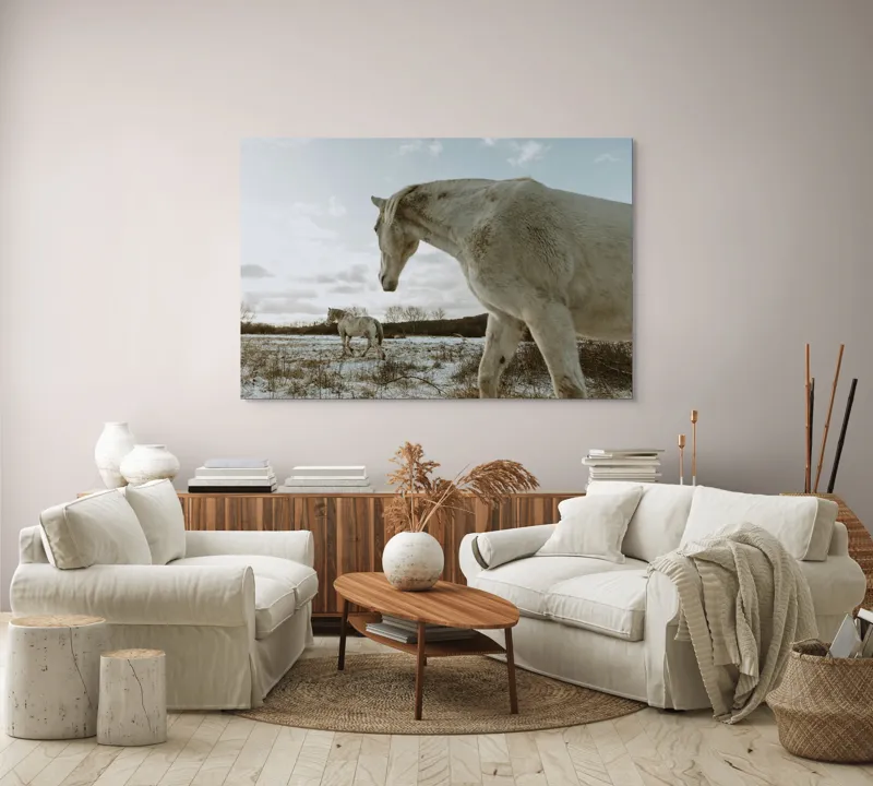 Tablou Canvas, "Cai albi pe întinderea iernii", Cai, Zăpadă, Câmp, Cer, Norii., 150 x 100 cm – poza 3