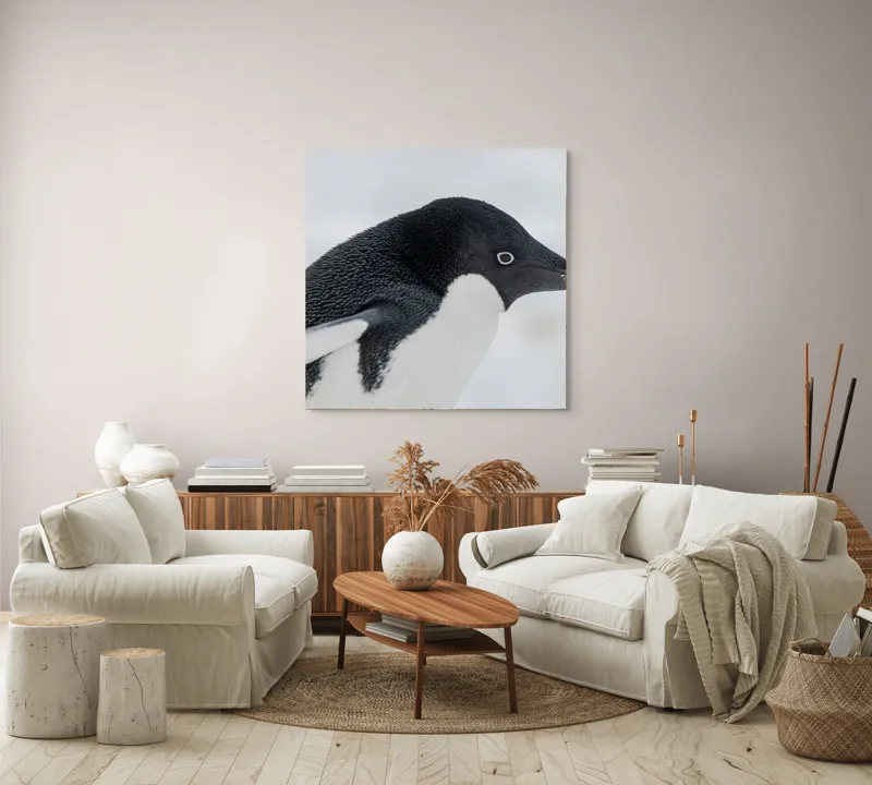 Tablou Canvas, "Pinguin în peisaj de zăpadă albăstruie", Pinguin, Alb, Negru, Ochi, Zăpadă, 100 x 100 cm – poza 3