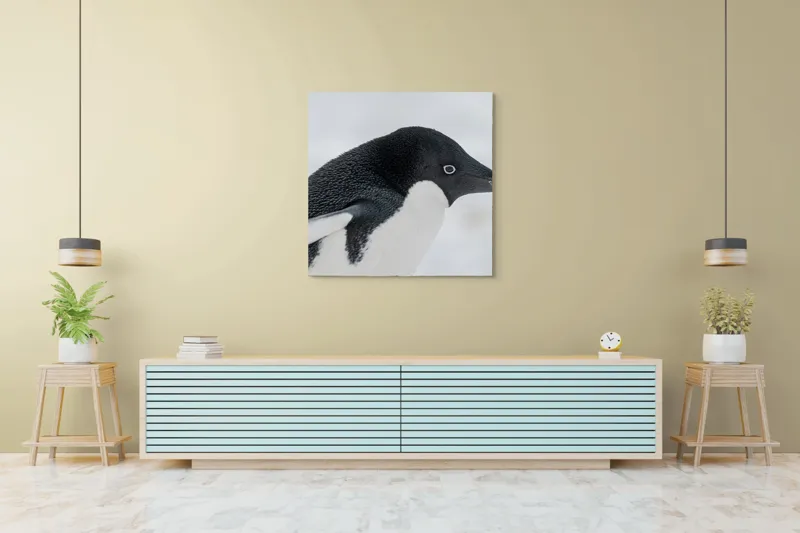 Tablou Canvas, "Pinguin în peisaj de zăpadă albăstruie", Pinguin, Alb, Negru, Ochi, Zăpadă, 100 x 100 cm – poza 5