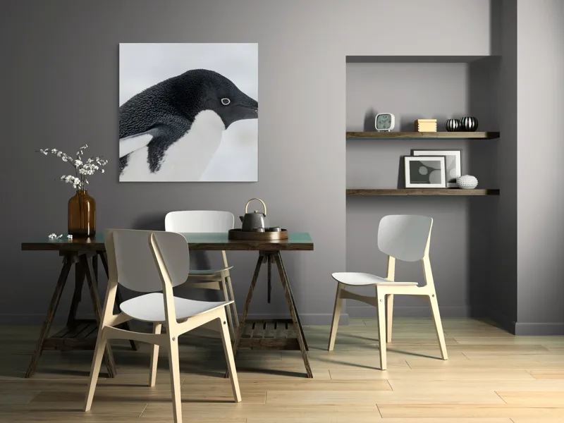 Tablou Canvas, "Pinguin în peisaj de zăpadă albăstruie", Pinguin, Alb, Negru, Ochi, Zăpadă, 100 x 100 cm – poza 6