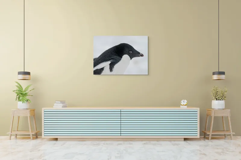Tablou Canvas, "Pinguin în peisaj de zăpadă albăstruie", Pinguin, Alb, Negru, Ochi, Zăpadă, 100 x 70 cm – poza 4