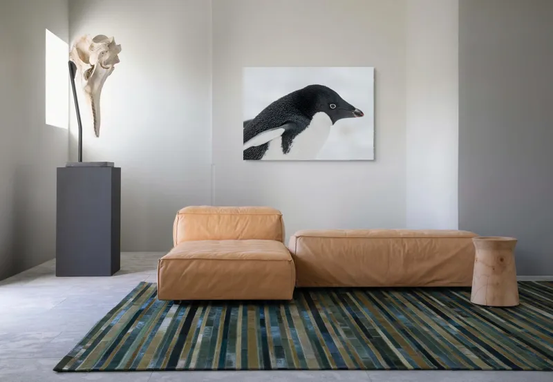 Tablou Canvas, "Pinguin în peisaj de zăpadă albăstruie", Pinguin, Alb, Negru, Ochi, Zăpadă, 100 x 70 cm – poza 7