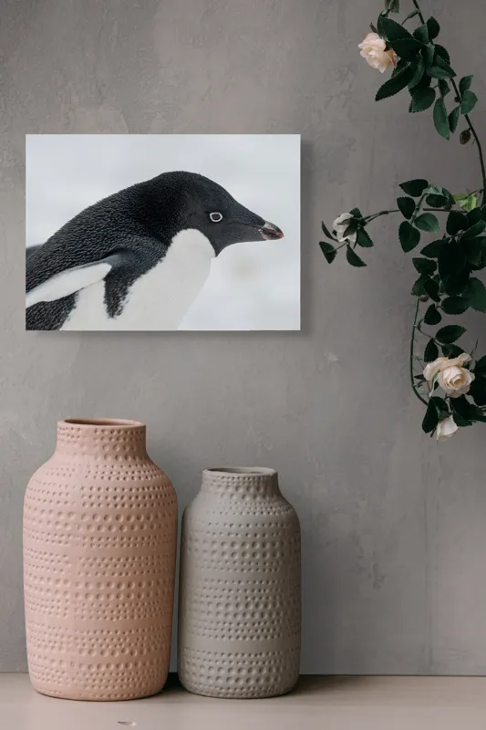 Tablou Canvas, "Pinguin în peisaj de zăpadă albăstruie", Pinguin, Alb, Negru, Ochi, Zăpadă, 54 x 39 cm – poza 8