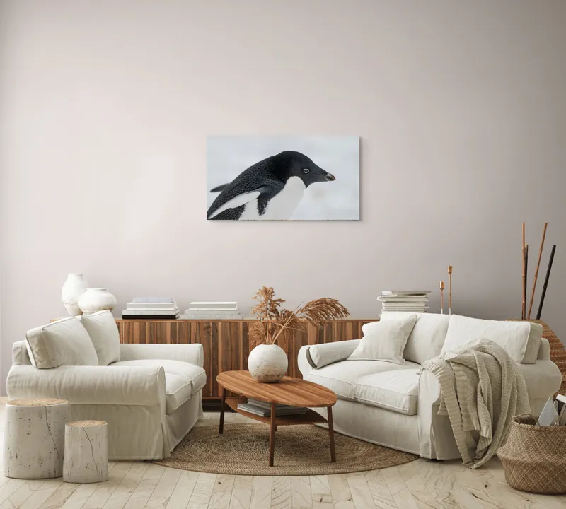 Tablou Canvas, "Pinguin în peisaj de zăpadă albăstruie", Pinguin, Alb, Negru, Ochi, Zăpadă, 90 x 50 cm – poza 4