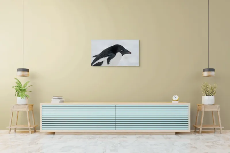 Tablou Canvas, "Pinguin în peisaj de zăpadă albăstruie", Pinguin, Alb, Negru, Ochi, Zăpadă, 90 x 50 cm – poza 5