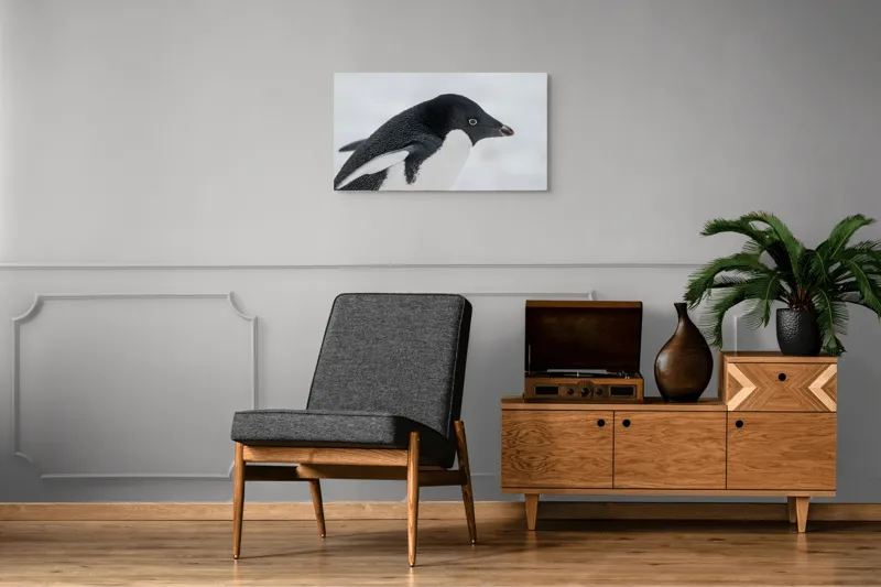 Tablou Canvas, "Pinguin în peisaj de zăpadă albăstruie", Pinguin, Alb, Negru, Ochi, Zăpadă, 90 x 50 cm – poza 6