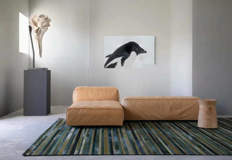 Tablou Canvas, "Pinguin în peisaj de zăpadă albăstruie", Pinguin, Alb, Negru, Ochi, Zăpadă, 90 x 50 cm – poza 8