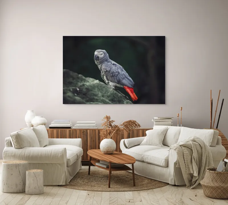 Tablou Canvas, "Papagal gri pe stâncă verde", Papagal, Gri, Stâncă, Coadă, Roșie, Pene, Textură, Ochi, Poză, 150 x 100 cm – poza 3