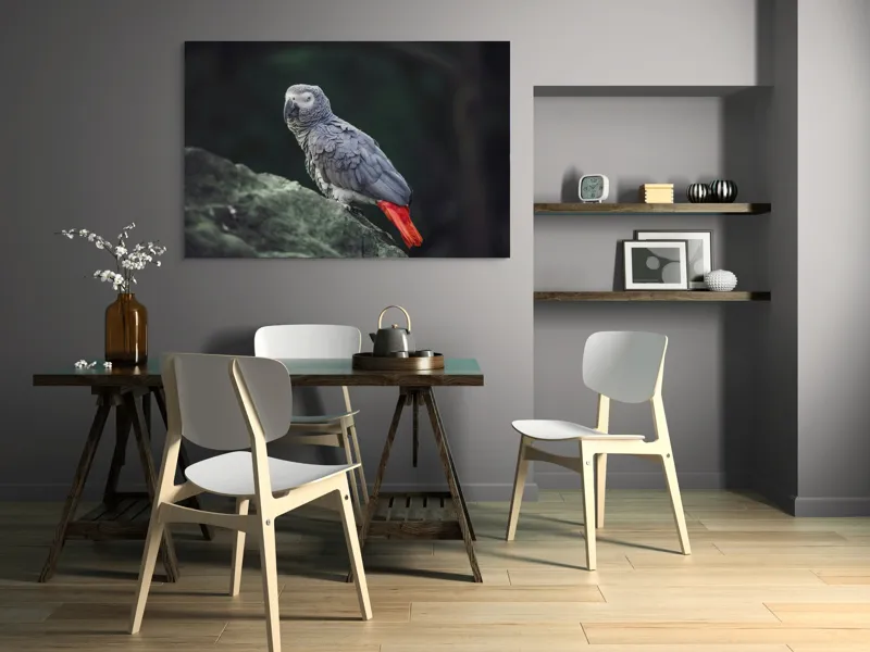 Tablou Canvas, "Papagal gri pe stâncă verde", Papagal, Gri, Stâncă, Coadă, Roșie, Pene, Textură, Ochi, Poză, 150 x 100 cm – poza 5