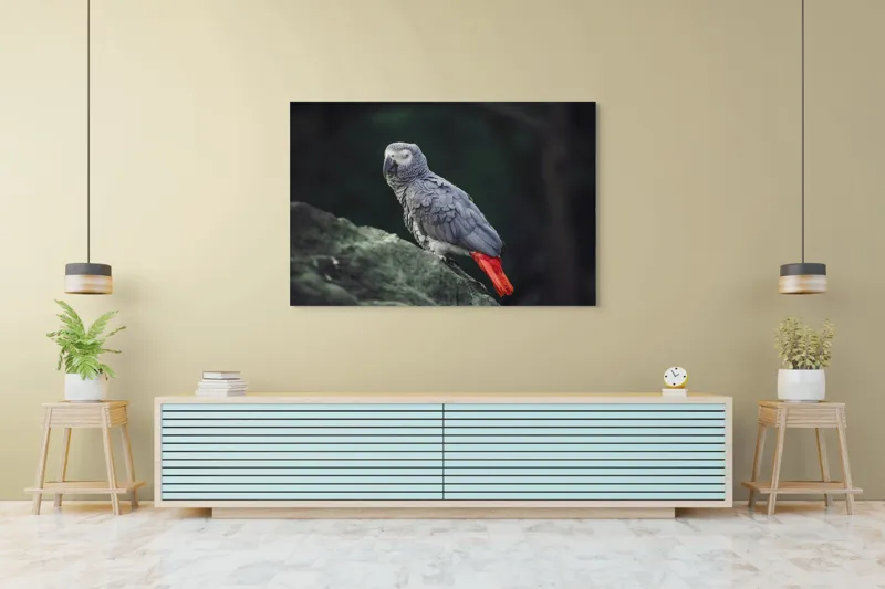 Tablou Canvas, "Papagal gri pe stâncă verde", Papagal, Gri, Stâncă, Coadă, Roșie, Pene, Textură, Ochi, Poză, 150 x 100 cm – poza 6