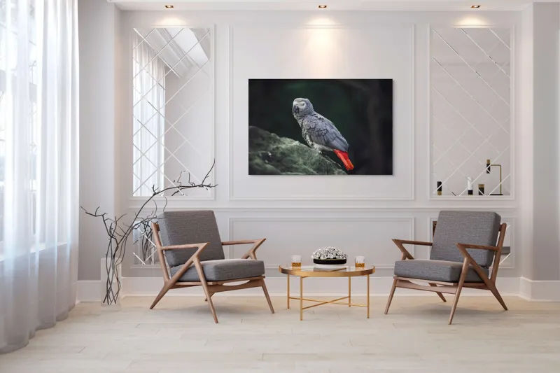 Tablou Canvas, "Papagal gri pe stâncă verde", Papagal, Gri, Stâncă, Coadă, Roșie, Pene, Textură, Ochi, Poză, 150 x 100 cm – poza 7