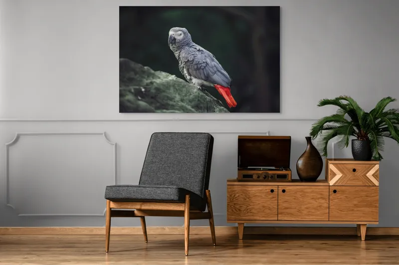 Tablou Canvas, "Papagal gri pe stâncă verde", Papagal, Gri, Stâncă, Coadă, Roșie, Pene, Textură, Ochi, Poză, 150 x 100 cm – poza 8