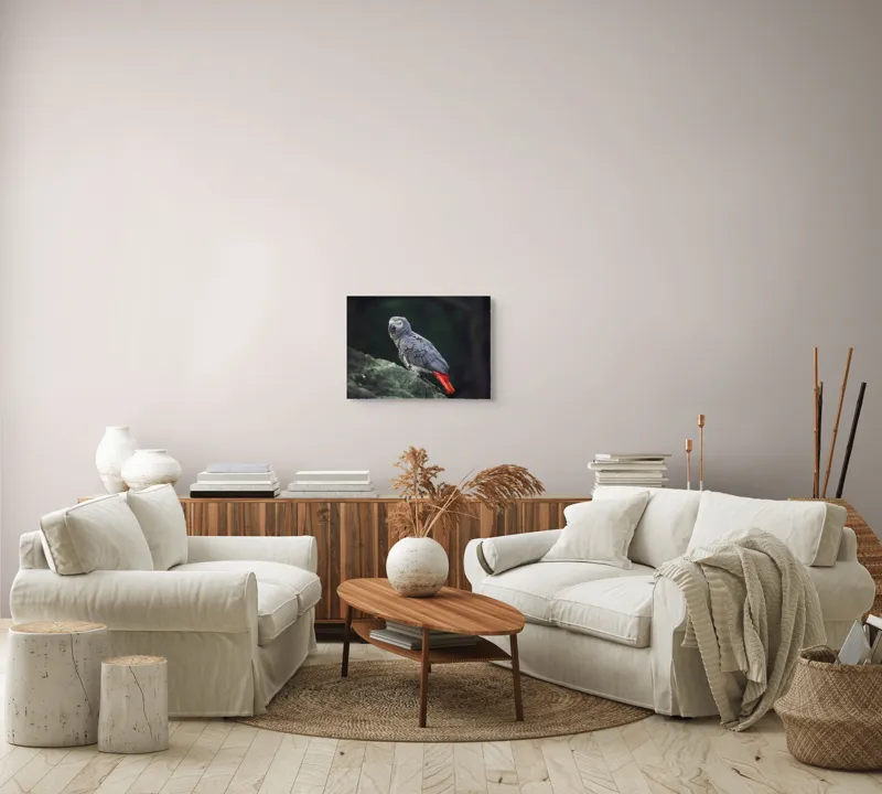 Tablou Canvas, "Papagal gri pe stâncă verde", Papagal, Gri, Stâncă, Coadă, Roșie, Pene, Textură, Ochi, Poză, 54 x 39 cm – poza 5