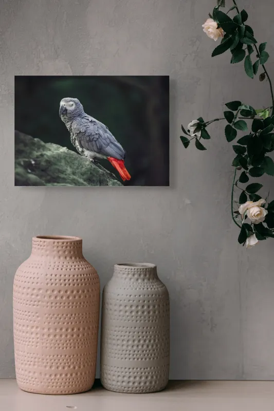 Tablou Canvas, "Papagal gri pe stâncă verde", Papagal, Gri, Stâncă, Coadă, Roșie, Pene, Textură, Ochi, Poză, 54 x 39 cm – poza 8