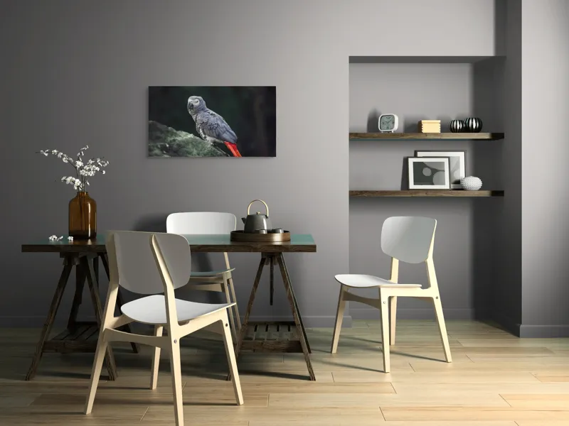 Tablou Canvas, "Papagal gri pe stâncă verde", Papagal, Gri, Stâncă, Coadă, Roșie, Pene, Textură, Ochi, Poză, 90 x 50 cm – poza 3