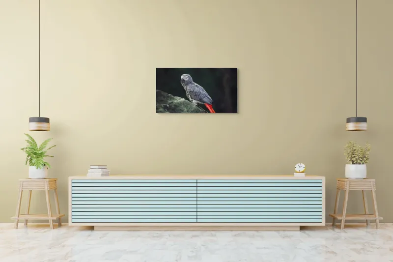 Tablou Canvas, "Papagal gri pe stâncă verde", Papagal, Gri, Stâncă, Coadă, Roșie, Pene, Textură, Ochi, Poză, 90 x 50 cm – poza 5