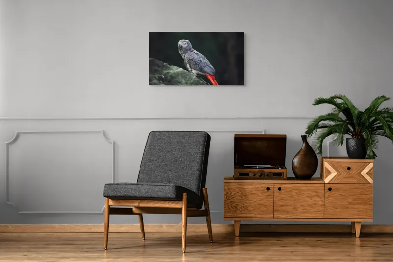 Tablou Canvas, "Papagal gri pe stâncă verde", Papagal, Gri, Stâncă, Coadă, Roșie, Pene, Textură, Ochi, Poză, 90 x 50 cm – poza 6
