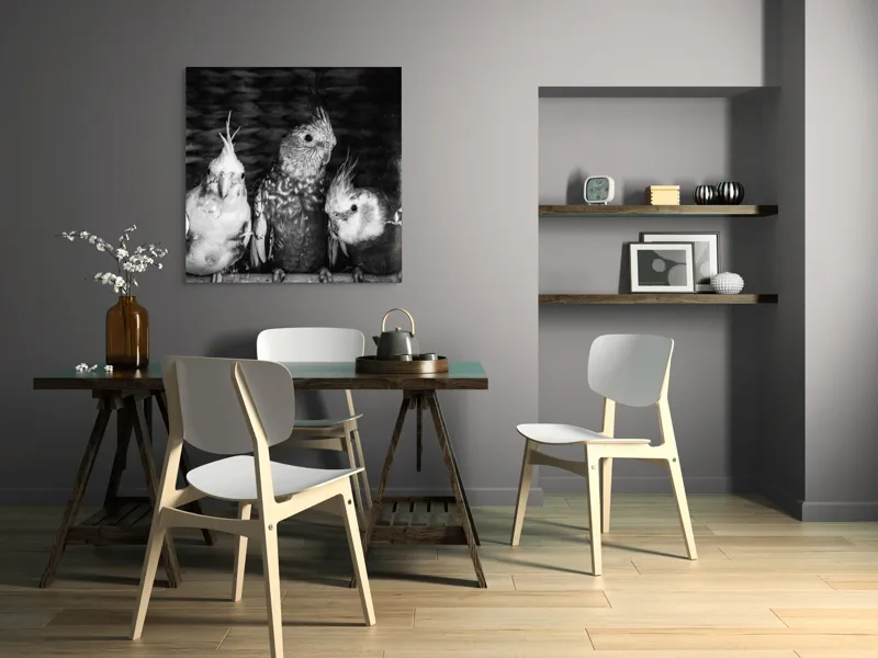 Tablou Canvas, "Patru papagali plini de personalitate", Păsări, Creste, Texturi, Contrast, Penaj, 100 x 100 cm – poza 6