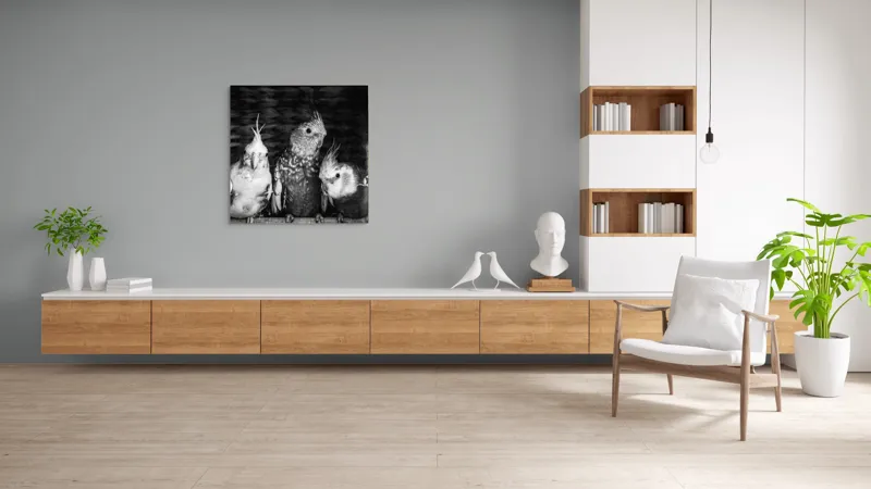 Tablou Canvas, "Patru papagali plini de personalitate", Păsări, Creste, Texturi, Contrast, Penaj, 100 x 100 cm – poza 8