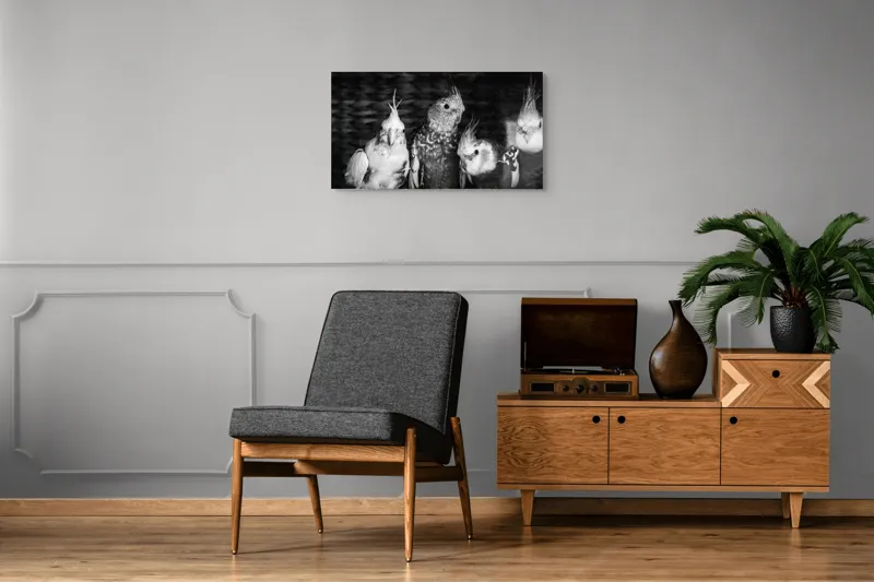 Tablou Canvas, "Patru papagali plini de personalitate", Păsări, Creste, Texturi, Contrast, Penaj, 90 x 50 cm – poza 6