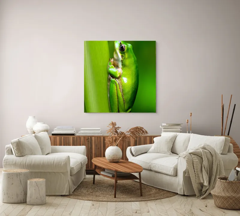 Tablou Canvas, "Broasca odihnindu-se pe o tulpină", Verde, Broască, Frunză, Natură, Agățată, Ochi, Textură, Mediu., 100 x 100 cm – poza 3