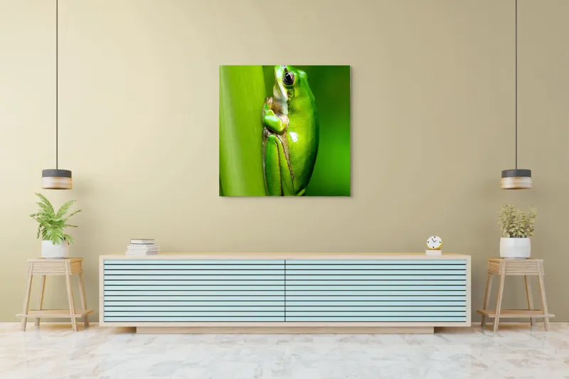 Tablou Canvas, "Broasca odihnindu-se pe o tulpină", Verde, Broască, Frunză, Natură, Agățată, Ochi, Textură, Mediu., 100 x 100 cm – poza 5