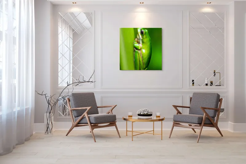 Tablou Canvas, "Broasca odihnindu-se pe o tulpină", Verde, Broască, Frunză, Natură, Agățată, Ochi, Textură, Mediu., 100 x 100 cm – poza 7