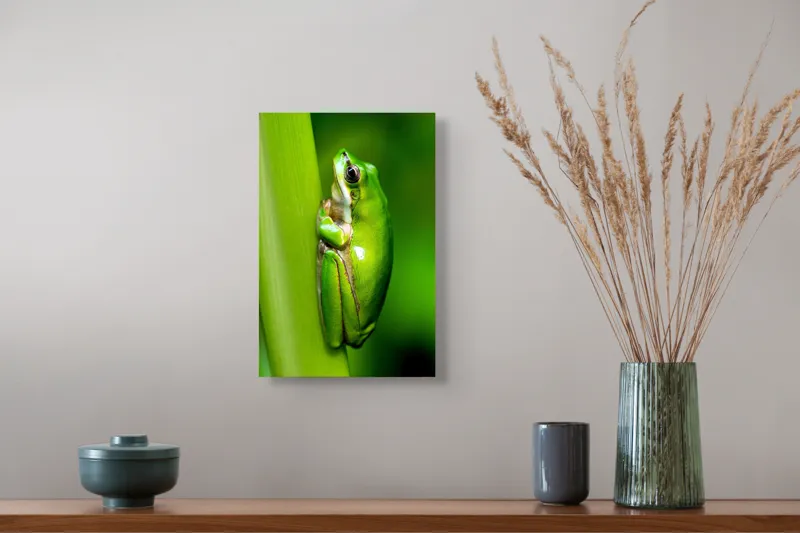 Tablou Canvas, "Broasca odihnindu-se pe o tulpină", Verde, Broască, Frunză, Natură, Agățată, Ochi, Textură, Mediu., 26 x 39 cm – poza 5
