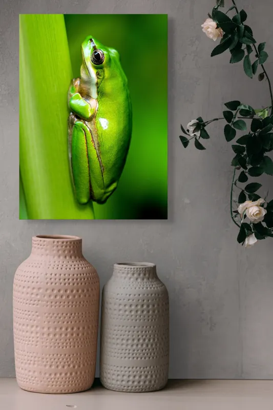 Tablou Canvas, "Broasca odihnindu-se pe o tulpină", Verde, Broască, Frunză, Natură, Agățată, Ochi, Textură, Mediu., 39 x 54 cm – poza 6