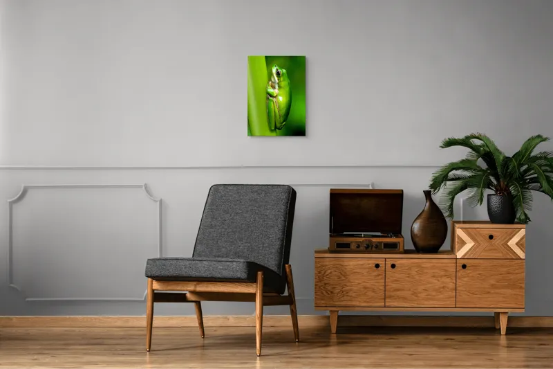 Tablou Canvas, "Broasca odihnindu-se pe o tulpină", Verde, Broască, Frunză, Natură, Agățată, Ochi, Textură, Mediu., 39 x 54 cm – poza 8