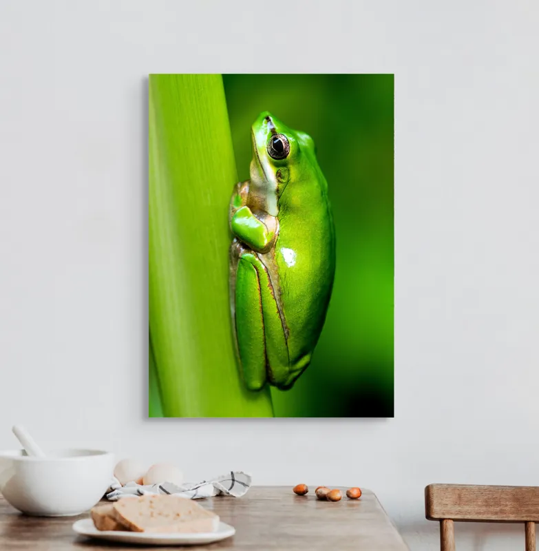 Tablou Canvas, "Broasca odihnindu-se pe o tulpină", Verde, Broască, Frunză, Natură, Agățată, Ochi, Textură, Mediu., 50 x 70 cm – poza 3