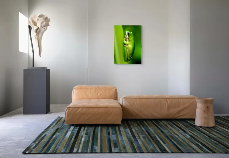 Tablou Canvas, "Broasca odihnindu-se pe o tulpină", Verde, Broască, Frunză, Natură, Agățată, Ochi, Textură, Mediu., 50 x 70 cm – poza 7
