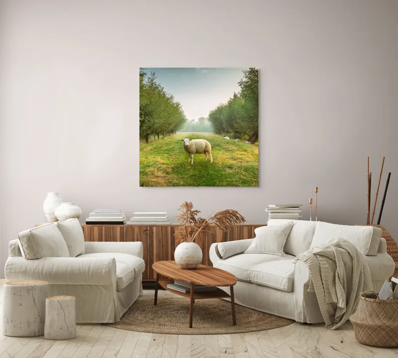 Tablou Canvas, "Oaia singuratică în pădurea deasă", Oi, Iarbă, Copaci, Cer, Natură, Răsărit, Pășune, Liniște, Verdeață, Câmpie, 100 x 100 cm – poza 3