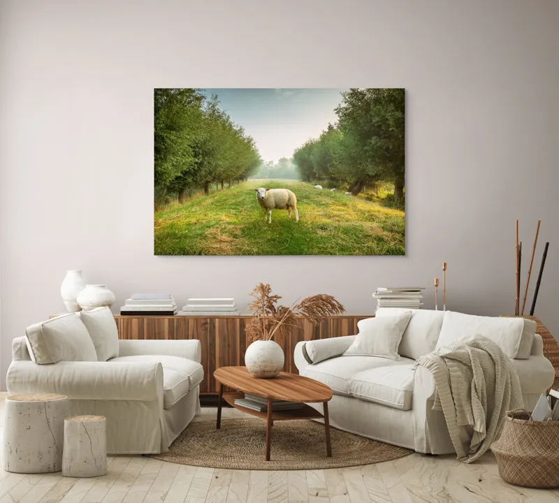 Tablou Canvas, "Oaia singuratică în pădurea deasă", Oi, Iarbă, Copaci, Cer, Natură, Răsărit, Pășune, Liniște, Verdeață, Câmpie, 150 x 100 cm – poza 3