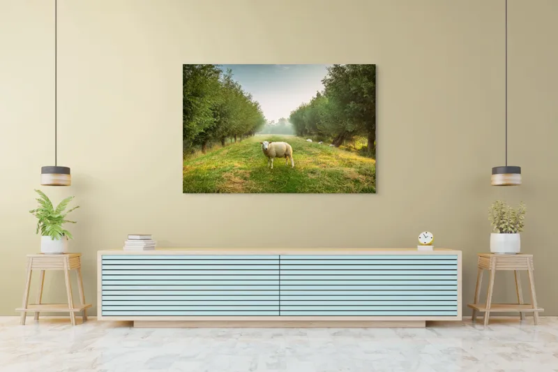 Tablou Canvas, "Oaia singuratică în pădurea deasă", Oi, Iarbă, Copaci, Cer, Natură, Răsărit, Pășune, Liniște, Verdeață, Câmpie, 150 x 100 cm – poza 6