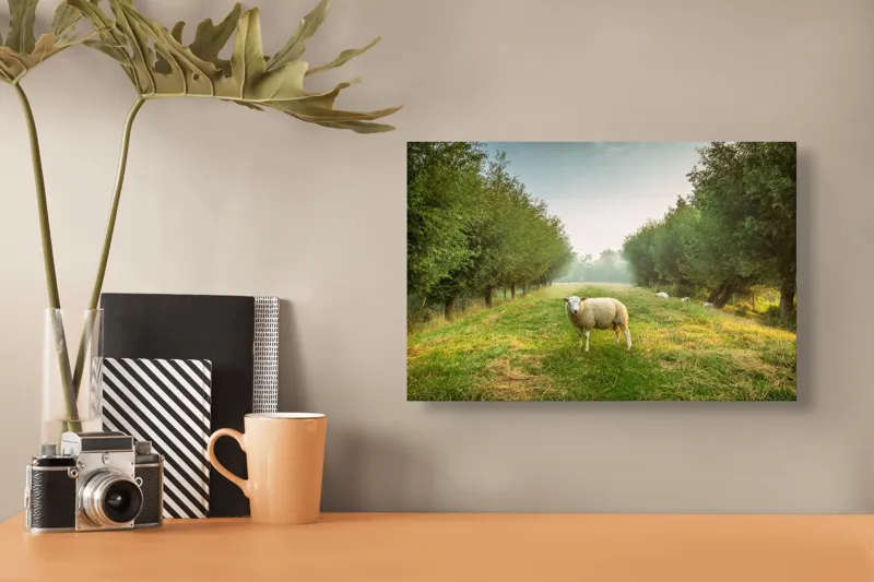 Tablou Canvas, "Oaia singuratică în pădurea deasă", Oi, Iarbă, Copaci, Cer, Natură, Răsărit, Pășune, Liniște, Verdeață, Câmpie, 39 x 26 cm – poza 3