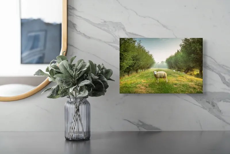 Tablou Canvas, "Oaia singuratică în pădurea deasă", Oi, Iarbă, Copaci, Cer, Natură, Răsărit, Pășune, Liniște, Verdeață, Câmpie, 39 x 26 cm – poza 5