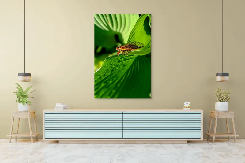 Tablou Canvas, "Cicada odihnindu-se pe frunză verde", Cicada, Frunza, Verde, Aripi, Detaliu, Natură, Lumină, Textură, Contrast, Insectă, 100 x 150 cm – poza 4