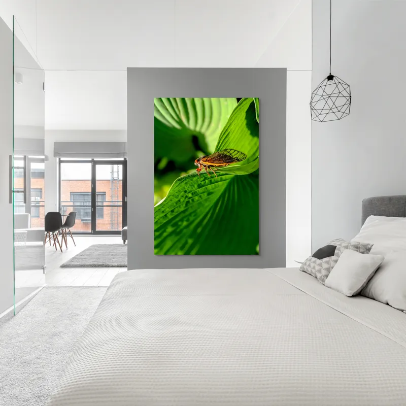 Tablou Canvas, "Cicada odihnindu-se pe frunză verde", Cicada, Frunza, Verde, Aripi, Detaliu, Natură, Lumină, Textură, Contrast, Insectă, 100 x 150 cm – poza 5