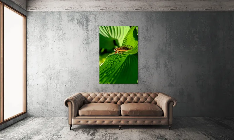 Tablou Canvas, "Cicada odihnindu-se pe frunză verde", Cicada, Frunza, Verde, Aripi, Detaliu, Natură, Lumină, Textură, Contrast, Insectă, 100 x 150 cm – poza 6