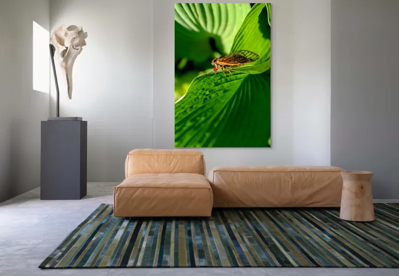 Tablou Canvas, "Cicada odihnindu-se pe frunză verde", Cicada, Frunza, Verde, Aripi, Detaliu, Natură, Lumină, Textură, Contrast, Insectă, 100 x 150 cm – poza 7