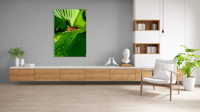 Tablou Canvas, "Cicada odihnindu-se pe frunză verde", Cicada, Frunza, Verde, Aripi, Detaliu, Natură, Lumină, Textură, Contrast, Insectă, 100 x 150 cm – poza 8