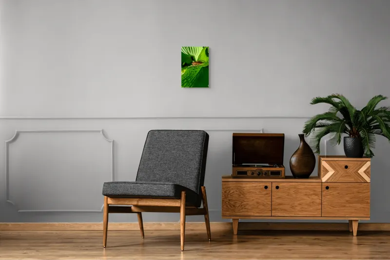 Tablou Canvas, "Cicada odihnindu-se pe frunză verde", Cicada, Frunza, Verde, Aripi, Detaliu, Natură, Lumină, Textură, Contrast, Insectă, 26 x 39 cm – poza 8